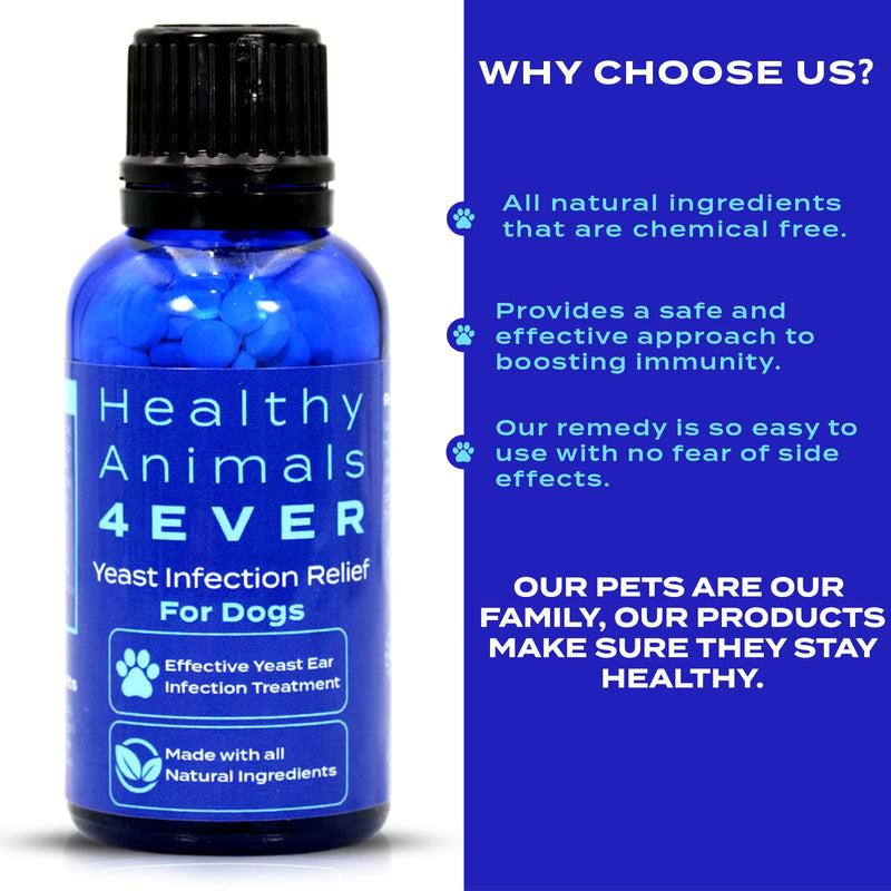 HealthyAnimals4Ever All-Natural Yeast Protection for Dogs - Effective Homeopathic Support for Yeast Infections - Preventive Care for Skin and Ear Health - 300 Dog Yeast Defense Tablets - PawsPlanet Australia