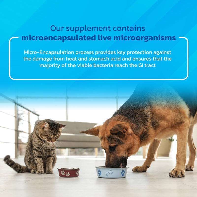 Probiotics for Dogs and Cats - Vet Formulated Pet Prebiotic & Enzyme Powder for Digestive, Gut & Immune Health - 1600 Servings (400 g) 400 g - PawsPlanet Australia