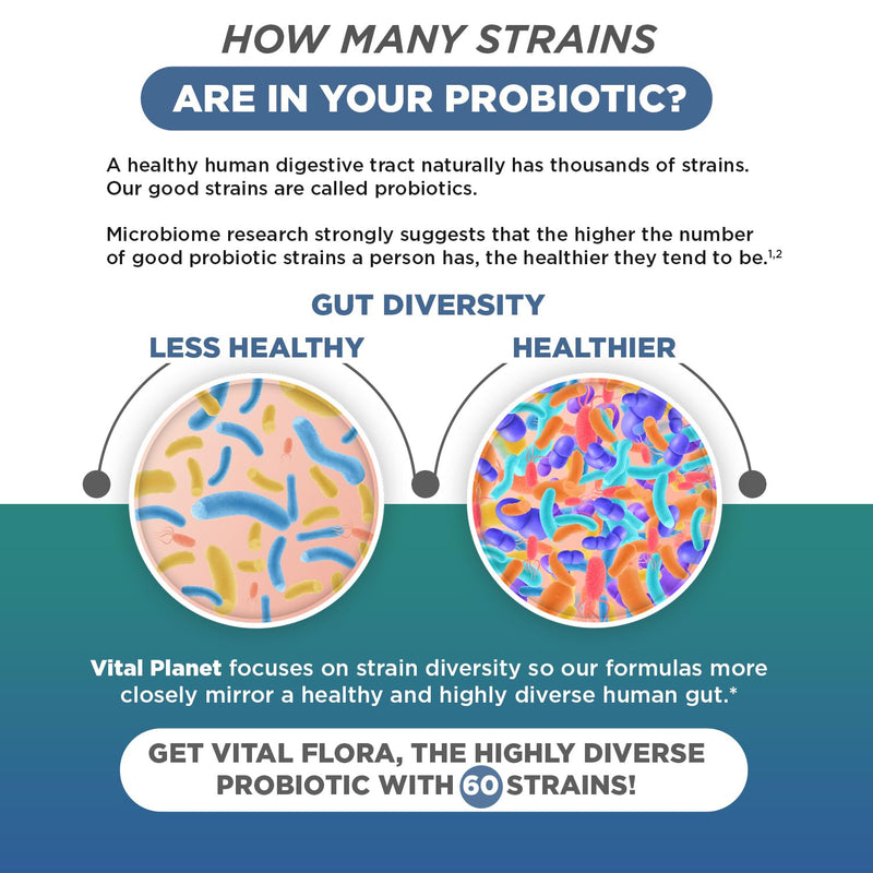Vital Planet - Vital Flora Men Over 55 Daily Probiotic, 60 Billion CFU, Diverse Strains, Organic Prebiotics, Immune Support, Digestive Health Shelf Stable Probiotics for Men, 30 Capsules