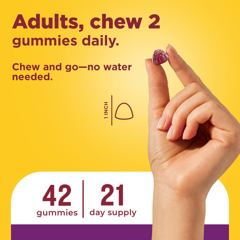 Nature Made Probiotics for Women and Men, 42 Probiotic Gummies | Probiotics with 8 Billion CFU Per 2 Probiotic Gummies, Support Healthy Digestion, Raspberry & Cherry Flavors, 21 Day Supply 42 Count (Pack of 1)