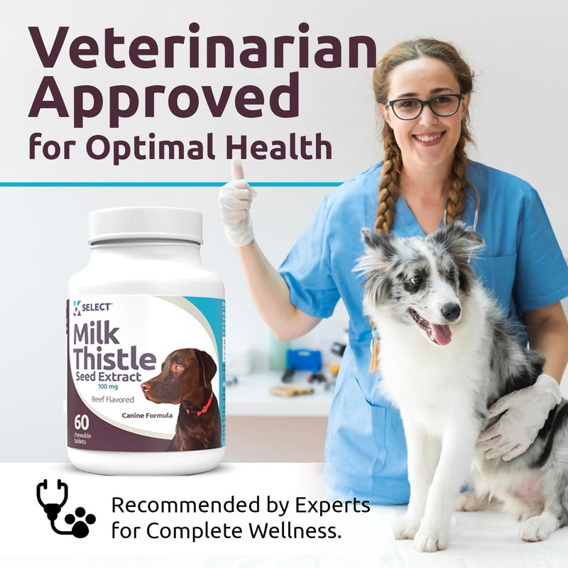 K9 Select Milk Thistle for Dogs, 100mg - 60 Beef Flavored Tablets - Canine Liver Health Natural Milk Thistle Supplement - PawsPlanet Australia