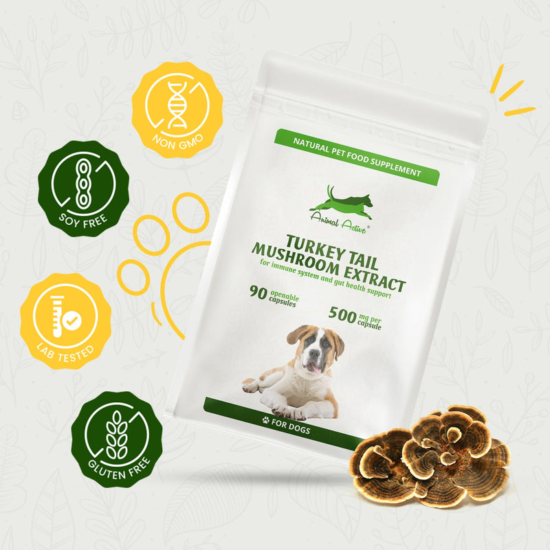 Turkey Tail Mushroom for Dogs 90 Capsules with 500mg PSK/PSP Beta-Glucans Extract - Immune Support Supplement - Gut Health & Prebiotic, UK Made, GMP Certified