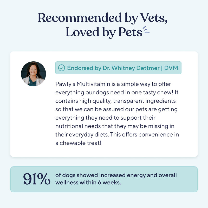 Pawfy Dog Multivitamin Chews | 23 Active Ingredients | Vitamins A B C D E & Omega 3 | Supports Joints, Bones, Immunity & Brain Health | Skin & Coat Support | All Life Stages | 60 Chews