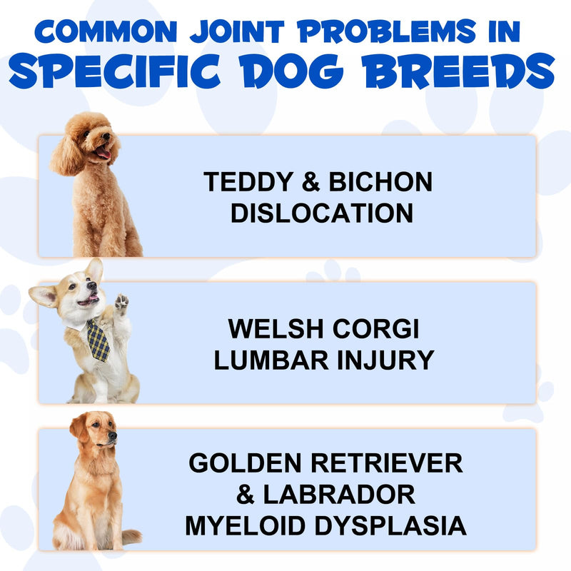 Dog Joint Aid & Relief Supplement,Hip and Joints Supplements for Dogs With Glucosamine, MSM & Chondroitin,Improve Mobility & Flexibility,Relieves Joint Pain for Dogs,60 ml