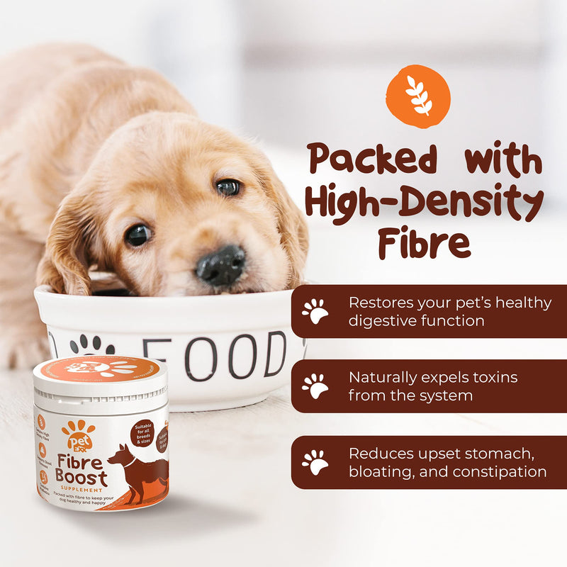 Fibre Boost Anal Gland Digestion Supplement - Stop you pet scooting with our Probiotic Support for Dogs & Cats with Fibre, Pro & Prebiotics – for Dog Gut Health - Gluten-Free powder 225g powder