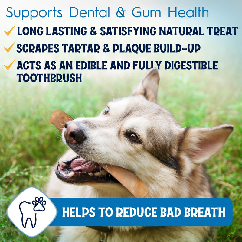 6" Collagen Sticks for Dogs – Low Odor Long-Lasting Bully Stick & Rawhide Alternative, Single Ingredient Beef Bone, High Protein Dental Treat, Vet Approved, Improves Joint Health – 20 Pack