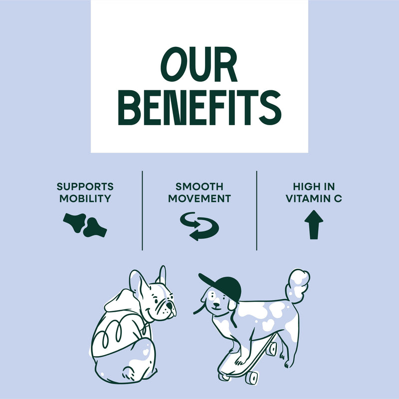 Joint Care for Dogs 160 g - Natural Joint Support Powder with Glucosamine Chondroitin MSM Turmeric and Hyaluronic Acid Supports Mobility