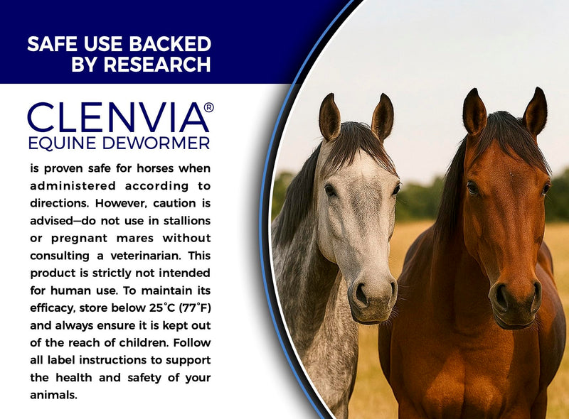 Horse Paste 10% – 4 Pack – 25g Syringes – Oral Deworming Paste for Horses of All Ages – Easy-to-Administer Equine Care PACK OF 4
