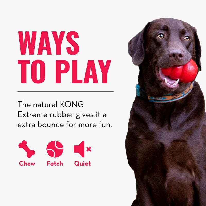 KONG Extreme Ball with Hole - Dog Fetch Toy - Durable Dog Ball Toy for Training, Interactive Playtime & More - Natural KONG Extreme Rubber Ball for Dogs - Black - For Large/Medium Dogs Medium