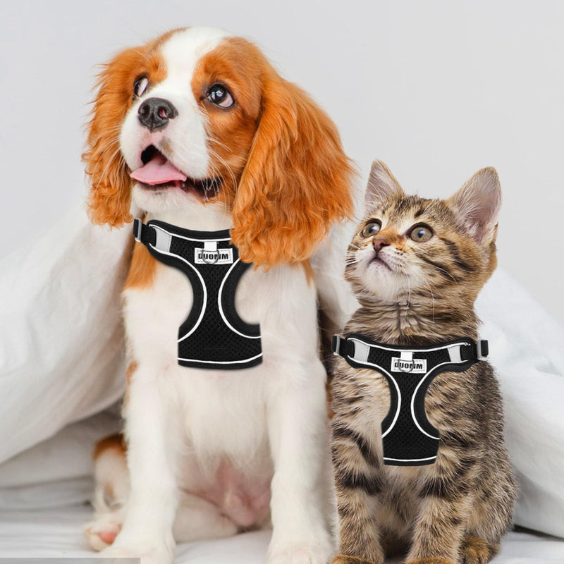 RAFIYU Anti-Pull Dog Harness Small Medium Dogs, Breathable Harness Dog Harness Luminous, Puppy Harness Luminous Harness for Dogs, Safety Harness Dog Chest Harness (M) M - BeesActive Australia