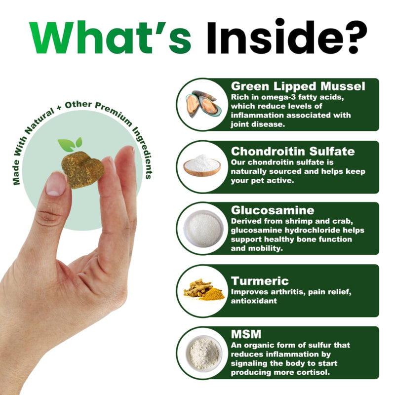 Green Lipped Mussel for Dogs & Cats High Strength Joint Supplement – Glucosamine MSM Chondroitin – Hip & Joint Support, Mobility & Arthritis Care CHEWS (DUCK FLAVOUR)