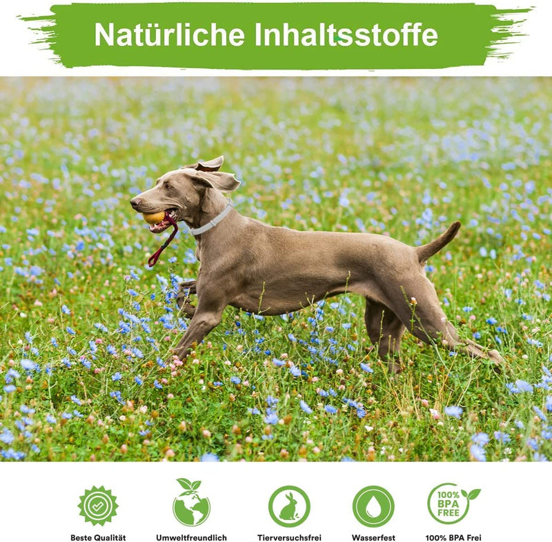 MC-Royal® Deluxe tick collar for dogs - 100% natural ingredients - reliable tick protection for up to 8 months - BeesActive Australia