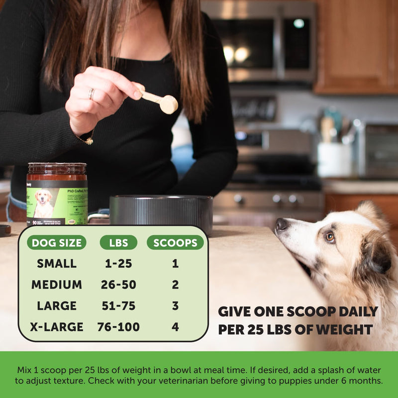 Pet Honesty Pumpkin Fiber Powder Supplement for Dogs - All Natural Dog Probiotic with Psyllium Husk, Pumpkin Seeds and Apple Pectin for Healthy Digestion (90 Scoops) 90 Scoops Powder