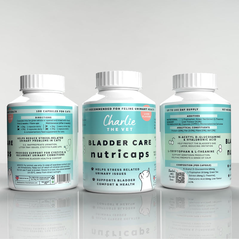 Bladder Care Urinary Support for Cats, with N-Acetyl D-Glucosamine, Hyaluronic Acid, L-Tryptophan and L-Theanine, for Bladder Comfort