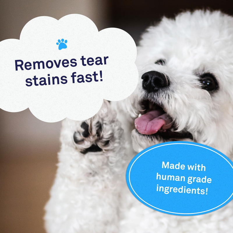 Petpost | Tear Stain Remover Soft Chews - Delicious Cheese Treat & Eye Stain Supplement for Dogs - Natural Treatment for Tear Stains on White Fur Angels 90 ct. 6.9 Ounce (Pack of 1) - PawsPlanet Australia