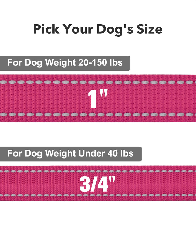 Taglory Dog Leash for Small Dogs, Double-Sided Reflective Dog Leash with Soft Neoprene Padded Handle, 3/4 inch by 4 ft, Fit Small Medium Large Breeds Dogs Under 20 lbs, Hot Pink 3/4 in x 4 ft (Pack of 1) - BeesActive Australia