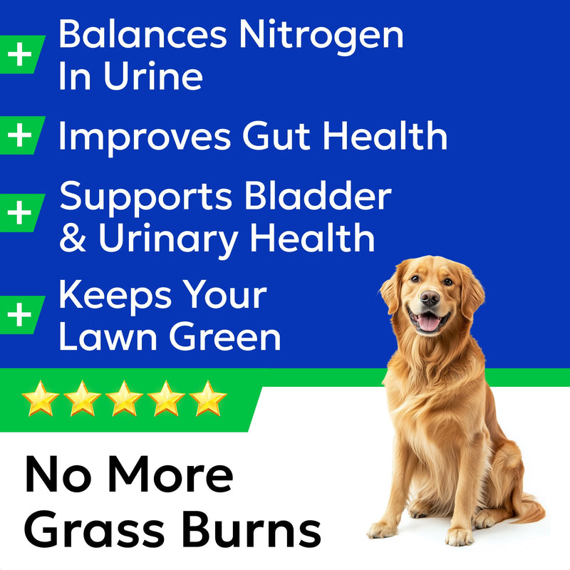 BARK&SPARK No Poo Chews + Green Grass Dog Chews Bundle - Pee Grass Spot Saver Caused by Dog Urine - Digestive Enzymes & Breath Aid Support - Digestion Supplement Treat