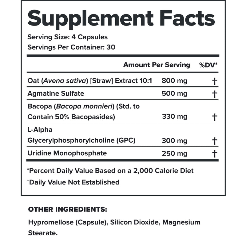 LEGION Athletics Ascend Nootropic - All-Natural Brain Supplements for Memory and Focus - Nootropics Brain Support Supplement with Alpha-GPC - Brain Supplement for Alertness & Mood Support, 30 Servings