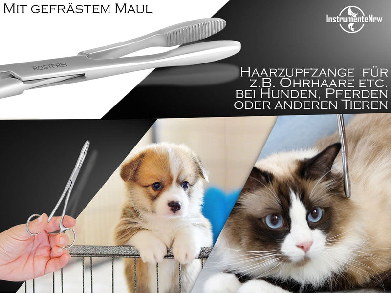 InstrumentNrw Plucking Tongs for Dog Ears Hair Tongs Dog Hair Plucking Tongs Animal Hair Remover Stainless Steel Rustproof with Internal Serrations without Lock in Professional Quality (16 cm) 16 cm - BeesActive Australia