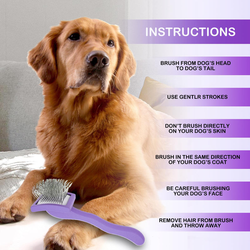 Dog Slicker Brush for Goldendoodles & Golden Doodle Brush for Grooming Kit - Dog Brush for Goldendoodle, Labradoodle, Poodles - Pet Hair Brush for Short & Medium Haired Dogs -Small (Purple) - BeesActive Australia