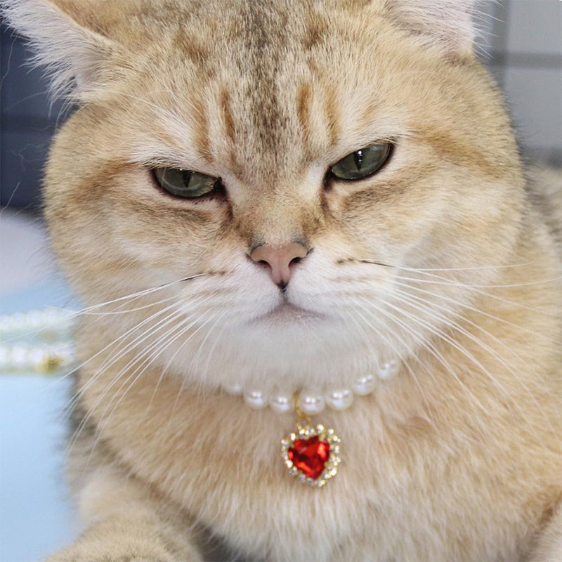 4 PCS Cat Dog Pearl Collar Pearl Necklace Collar Small Heart Shape Rhinestone Pet Necklace Rhinestones Heart Charm Collar Bling Rhinestones Cat Wedding Collar Pearl Cat Necklace for Cats Puppy - BeesActive Australia