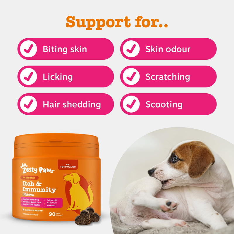 Zesty Paws Itch & Immunity Chews for Dogs | Soothes Skin, Paws & Ears from Licking & Scratching, Helps Immune Function, Skin & Gut Health | Contains Salmon Oil & Probiotics | Daily Use | 90 Chews