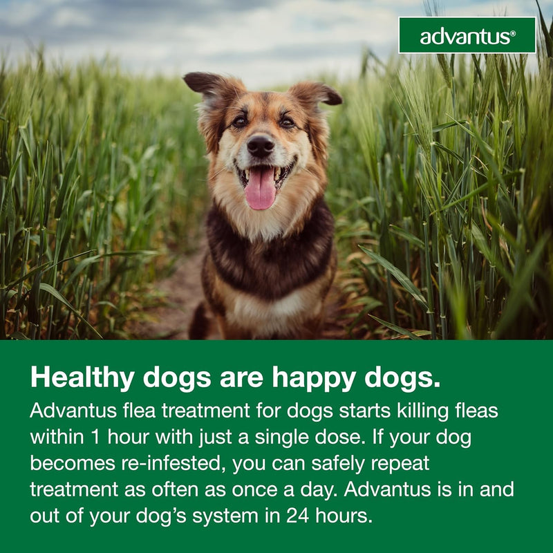 Bundle of Advantus Fast Acting Oral Flea Treatment Soft Chews Dogs 4-22 lbs. | 7 ct. + Advantage Household Spot & Crevice Spray 24 oz. Small Dog + Household Spray