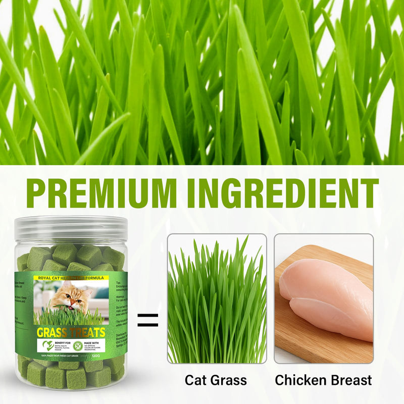 AiRunTech 120g Cat Grass Treats, Cat Grass for Indoor Cats, Fun Daily Snack for Interaction, Pet-Safe Wheatgrass Kit 1 Count (Pack of 1)