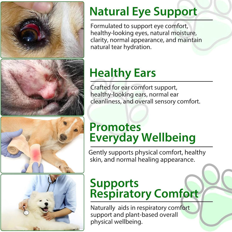 Antibiotics for Dogs, Dogs Antibiotics, Natural Formula for Dog, Supports Immune Health, Itch Relief, Allergy Relief & More, Dog Multivitamins, Bacon Flavor 60ml