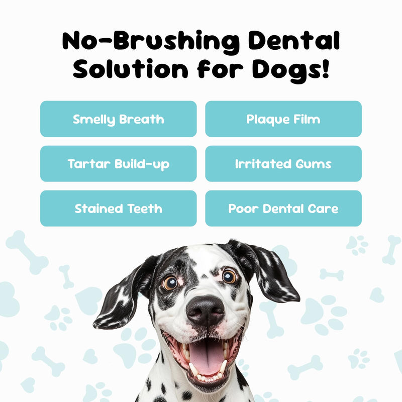 Dental Solution Water Additive for Dogs, Freshens Breath, Reduces Plaque & Tartar, Alcohol-Free Natural Formula, Easy Daily Oral Care, Made in the UK - 250ml