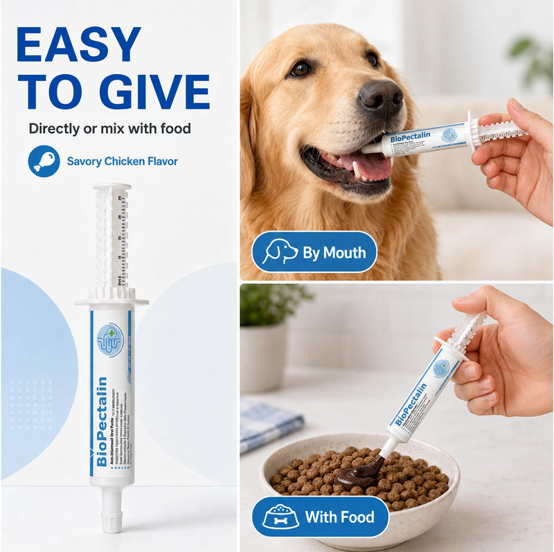 Anti-Diarrheal Paste for Dogs & Cats | Savory Chicken Flavor | Natural Digestive Support with Kaolin, Pectin & Probiotics | Firms Loose Stool & Soothes Upset Stomach | 30ml