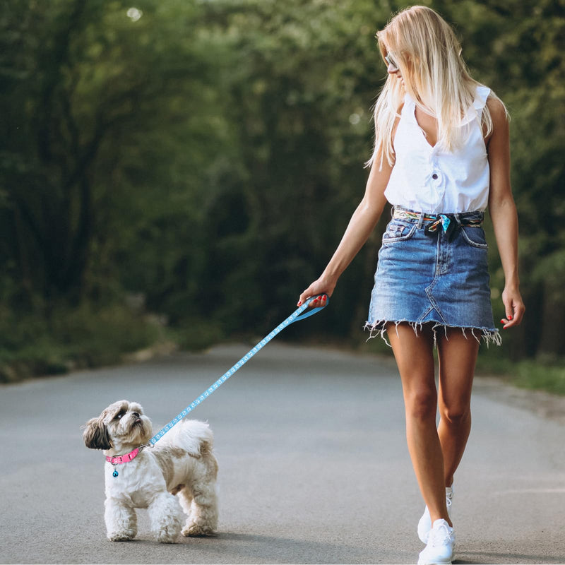 3 Pack Puppy Collar and Leashes Dog Collar and Leash for Small Dogs Pet Cat Kitten Collar and Leashes Adjustable Training Rope Quick Release Paw Print Soft Nylon Pet Collar - BeesActive Australia