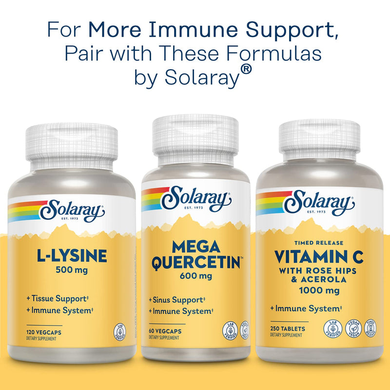 Solaray Bio Zinc 15 mg - Zinc Supplements for Women and Men, 15mg Complex with Picolinate, Citrate, and Chelated Amino Acid for Immune Health Support - 100 Capsules | Zinc Supplements for Women and Men, 15mg Complex with Picolinate, Citrate, And Chelat...