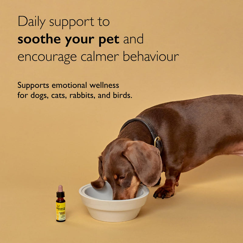 Rescue Pet Dropper | Calming Drops for Dogs, Cats & Pets | Bach Original Flower Essences | 20ml | Pet-Friendly Support for Stress, Travel, Fireworks & Separation Anxiety Day Dropper