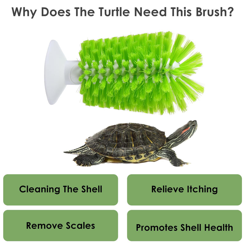 Amaxiu Turtle Brush, Turtle Exfoliate Brush with Suction Cup Turtle Scrub Brush for Shell Tortoises Back Scratches BrushTurtle Brush Green for Remove Turtle Shell Scutes Mud Dirt - BeesActive Australia
