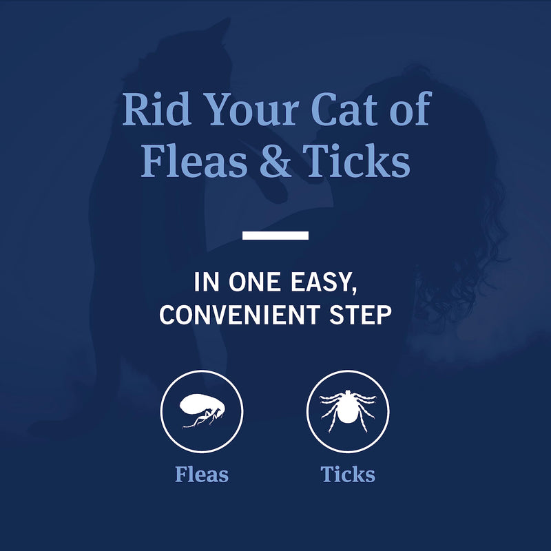 PetArmor Flea and Tick Shampoo for Cats, Coconut Berry Scented Flea Shampoo and Conditioner for Cats, Flea Treatment Kills Fleas and Ticks, 12oz - BeesActive Australia