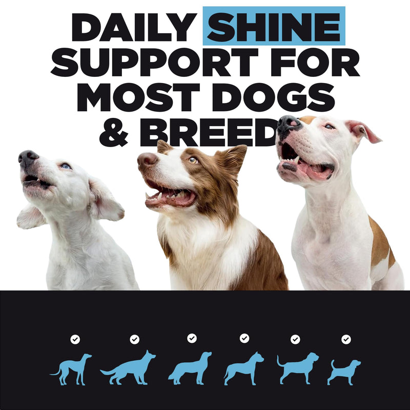 ProDog Shine Skin & Coat Conditioner Supplement for Dogs - Glossy Coats & Healthy Skin - Reduces Itching, Moulting & Odour - Supports Digestion, Immunity & Overall Well-Being (66 Servings) 200g - 66 Servings