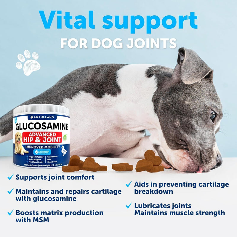 Glucosamine for Dogs - Hip and Joint Supplement for Dogs with Arthritis - Chews with Chondroitin, Hemp Oil, MSM - Canine Joint Pain Relief Health - Mobility Support for Large Breeds - 180 Soft Treats 180 Glucosamine Chews
