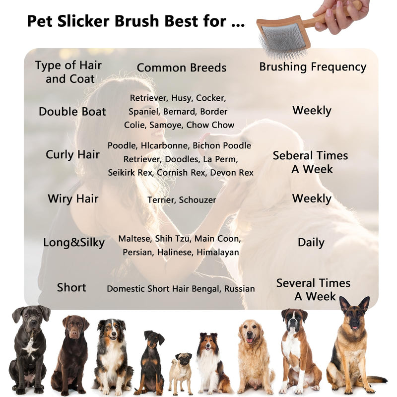 Ergonomic Slicker Brush for Long-Haired Dogs - Wooden Handle, Long Pins for Grooming Goldendoodles - BeesActive Australia