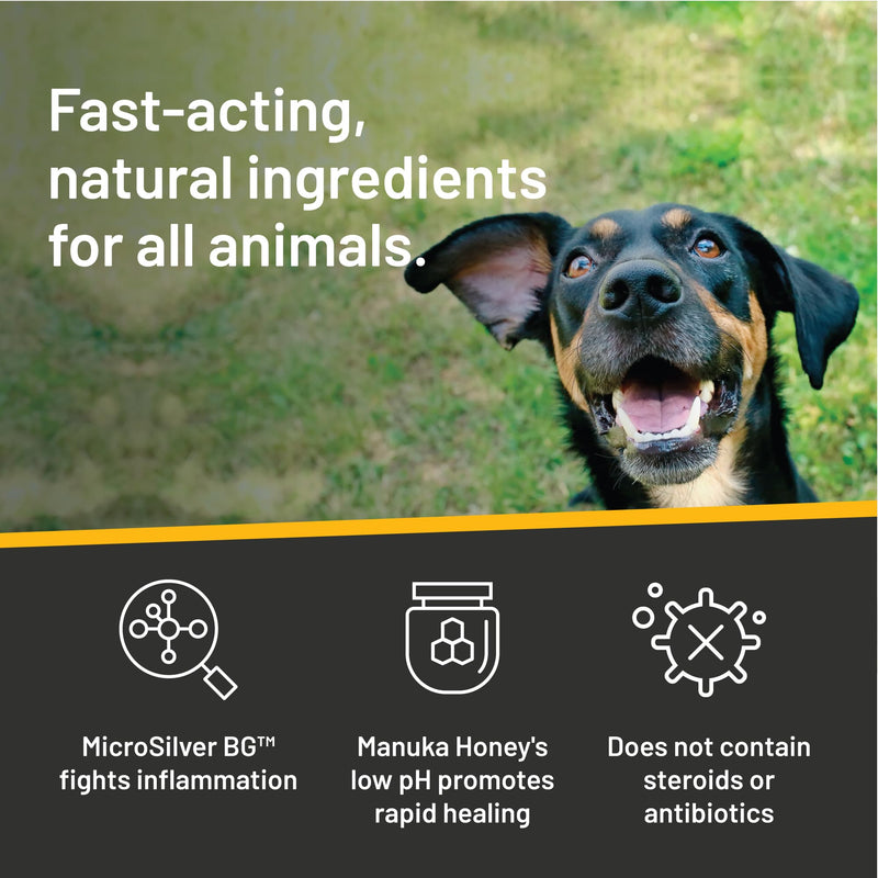 Absorbine Silver Honey Rapid Ear Care Vet Strength Ear Rinse, 4oz, Manuka Honey & MicroSilver BG, Safe for Dogs & Cats - BeesActive Australia