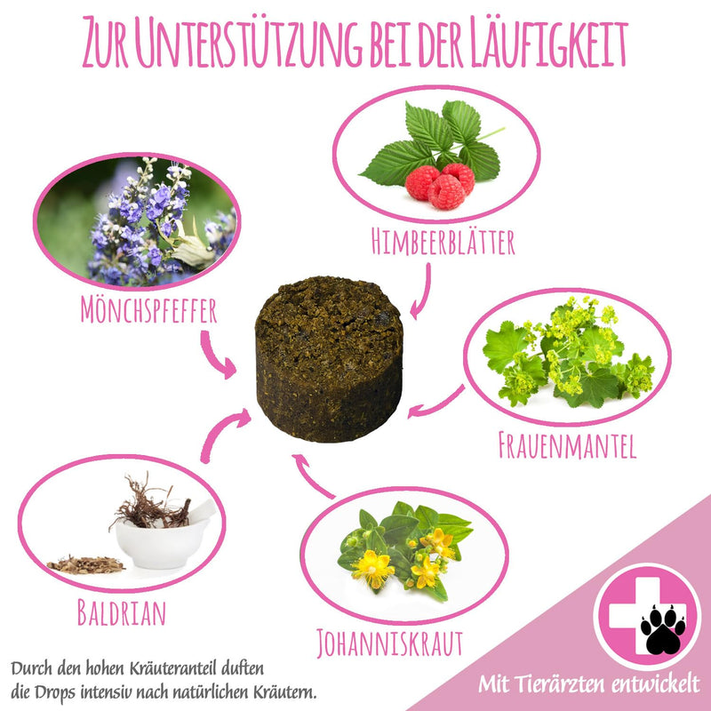 Heat Drops for Dogs I for the Dog in the Cycle I Seminous Pregnant I with Monk Pepper, Women's Coat, Raspberry Leaves, Valerian (150 g - Approx. 180 Pieces) 150g