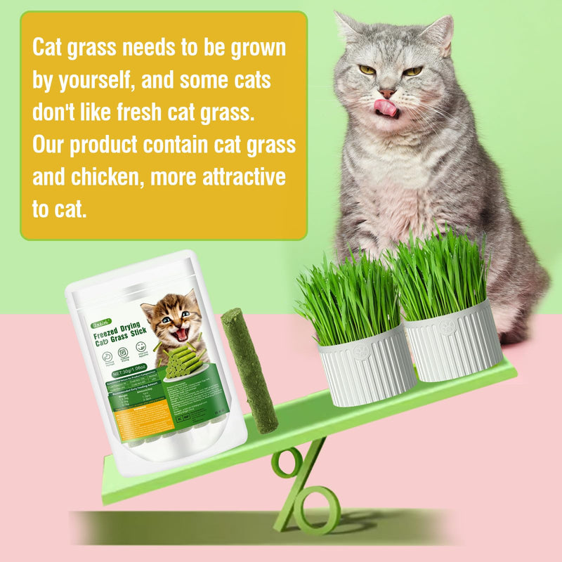 30g Cat Grass Snack, Cat Grass Sticks Naturally Dried Snacks for Cats for Hairball Removal and Dental Care, Catnip, Cat Grass Stick 30g - BeesActive Australia