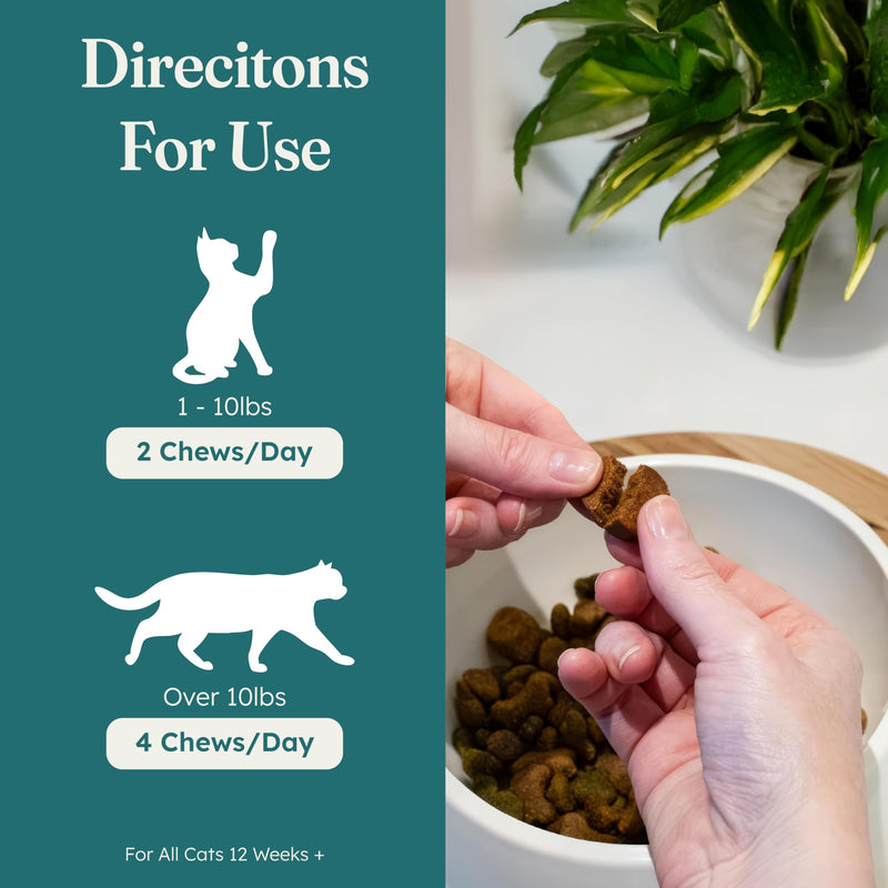 PetHeal Immune Plus Chews for Cats - Vet-Reviewed - Boosts Immunity & Liver Health with Turkey Tail, Reishi & Milk Thistle | Promotes Shiny Coat & Reduces Lumps | 60 Chicken-Flavored Soft Chews