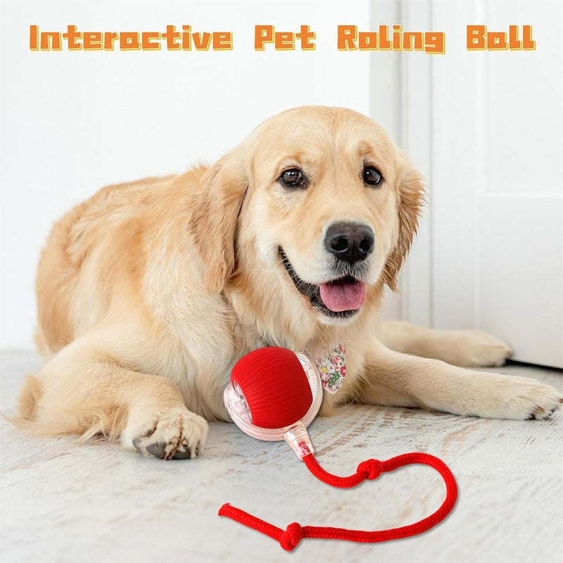 Interactive Cat Toys Rolling Ball, Chewie Viral Rolling Ball, Electric Dog Ball Toy, 360° Smart Automatic Cat Ball Toys for Bored Indoor Cats, Suitable for Large and Small Dogs and Cats - BeesActive Australia