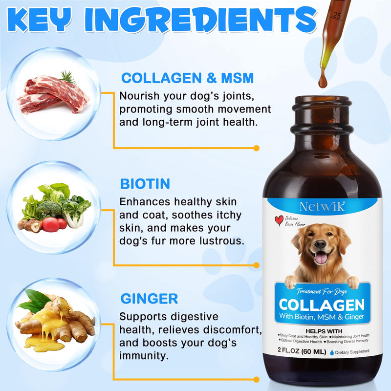 Collagen for Dogs - Skin and Coat Supplement for Dogs, Dog Liquid Collagen, Collagen Supplement for Dogs - Collagen with Biotin, MSM & Ginger - 2 fl oz - PawsPlanet Australia