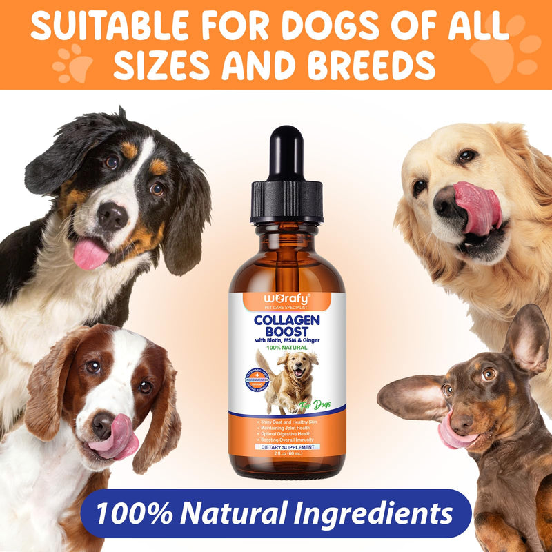 Collagen for Dogs 60ml, Liquid Dog Collagen Drops, Liquid Collagens for Dogs Joints, Skin & Coat, Support Dog Itchy Skin Relief & Digestive Health, with Biotin, MSM & Ginger, Bacon Flavor