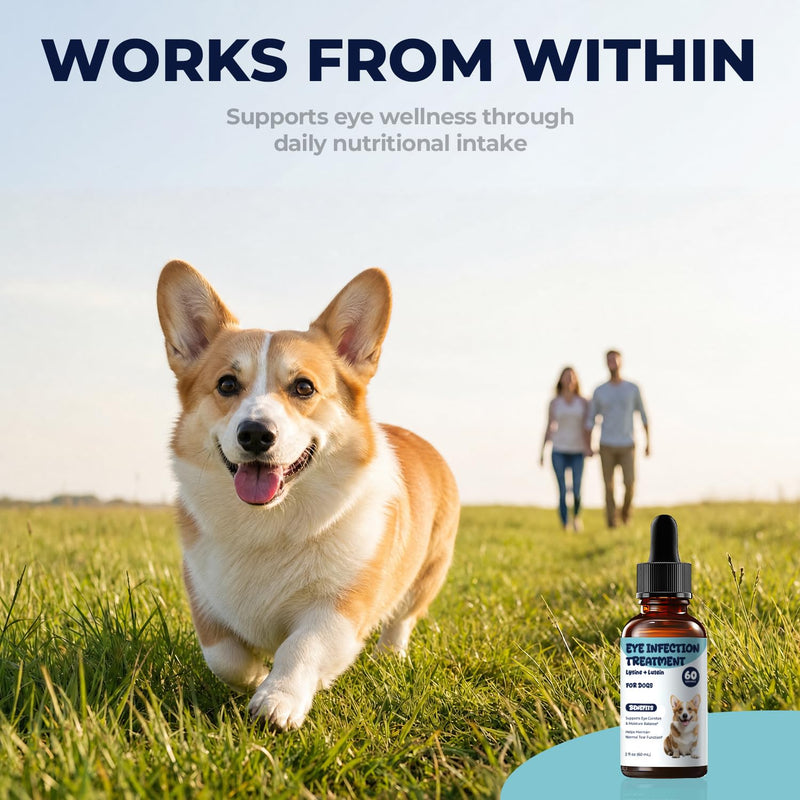 Dog Eye Infection Treatment & Eye Care Support Supplement for Dogs, Helps Soothe, Tear Stains, Discharge & Dry Eyes, with L-Lysine, Omega-3, 2 fl oz