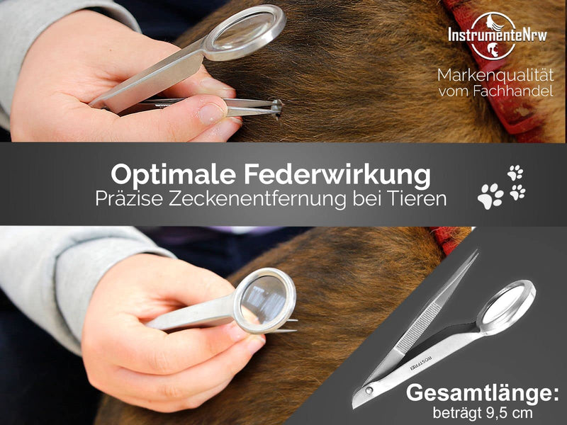 Tweezers with pointed magnifying glass made of stainless steel - BeesActive Australia