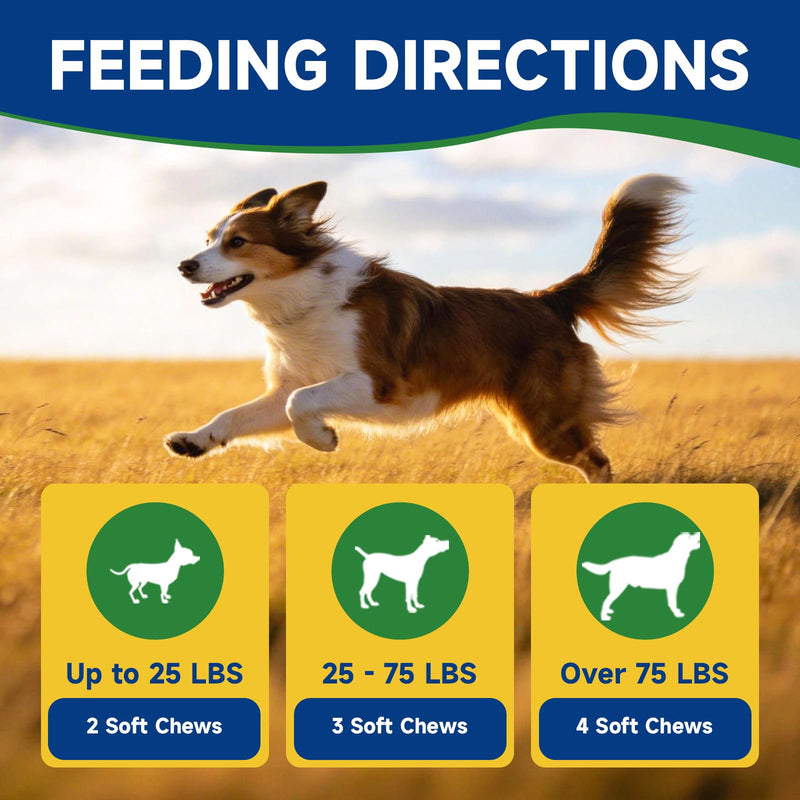 NAD+ Soft Chews for Dogs & Dog Mushroom Chews - Energy & Vitality, Anti-Aging, Cognitive Function - Dog Lumps & Bumps - Gut, Hip, Joint, Skin, Coat, Immune Health