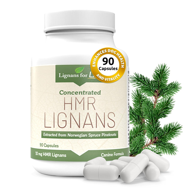 Lignans For Life HMR LIGNANS 10mg Capsules - Perfect for Small Dog Breeds - Vitamin for Healthy Pet | Multivitamin | Wellness Supplement | Nutritional 10mg, 90 Capsules